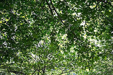 《拳皇15》DLC里大蛇队预告 角色包8月上线