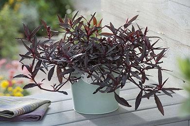 《战神5》剧透已经开始出现在网络上