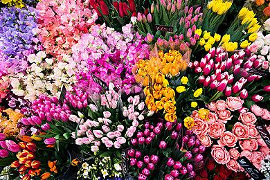 巴黎世家发布免费滑雪游戏 游玩比赛可得实物奖励